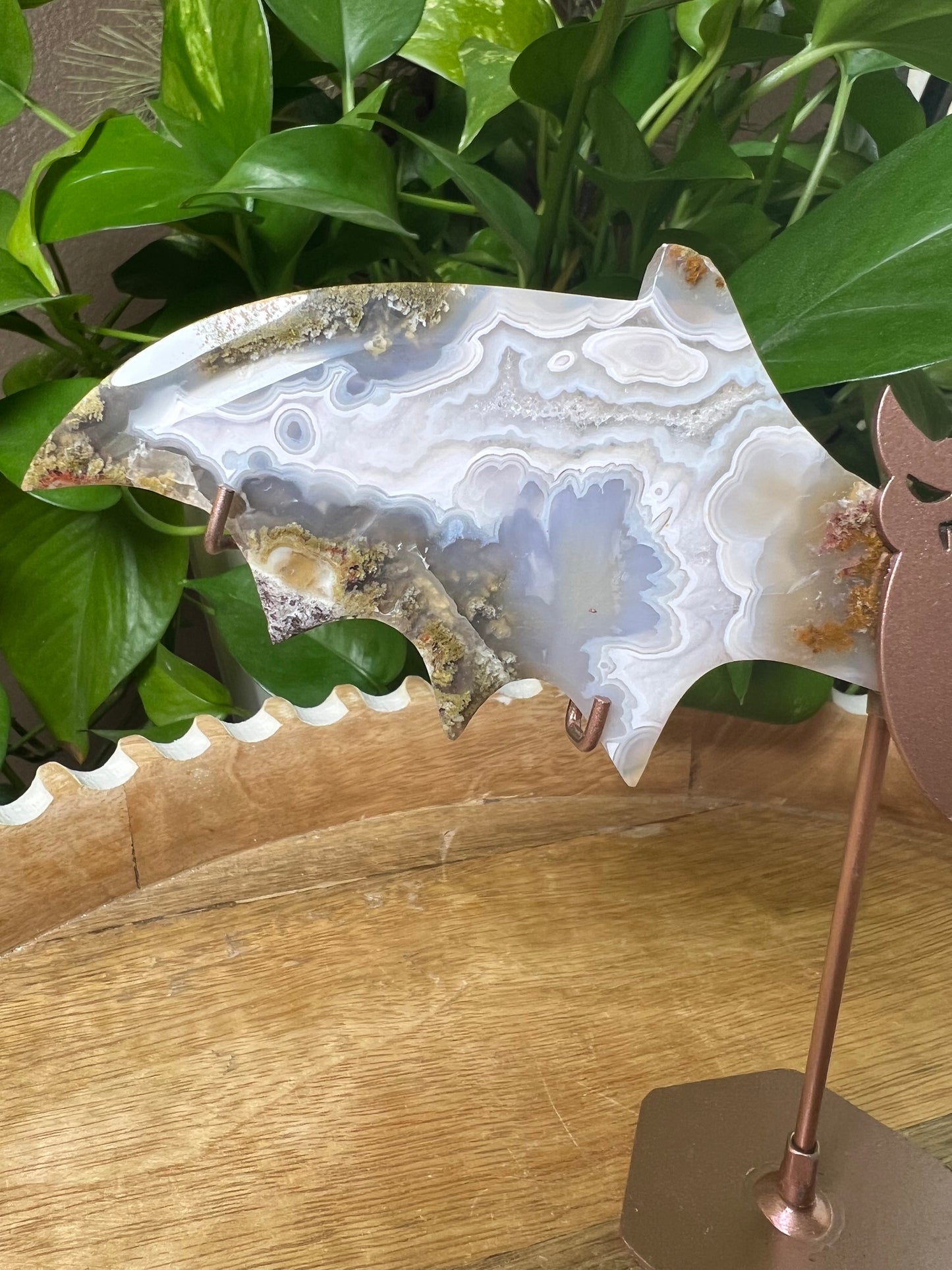 Scenic Moss Agate Bat Wings: BL