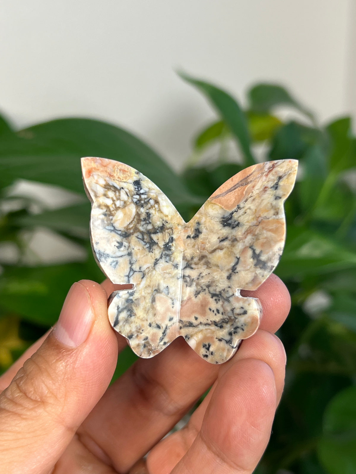 Peachy Pink Dendritic Jasper 3D Butterflies