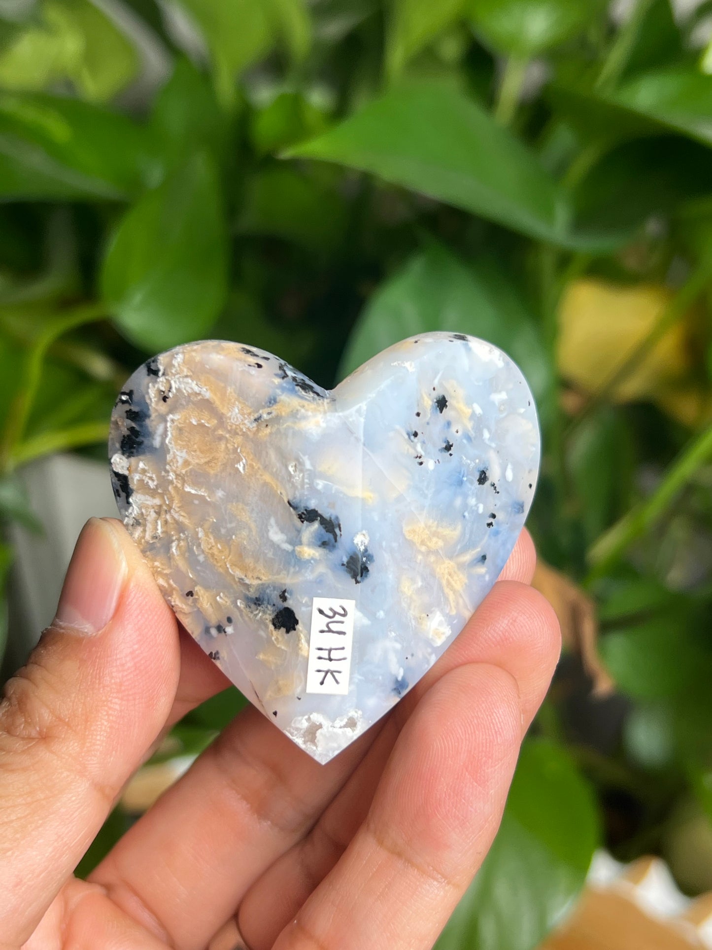 Dendritic Tiger Agate 3D Butterfly HK