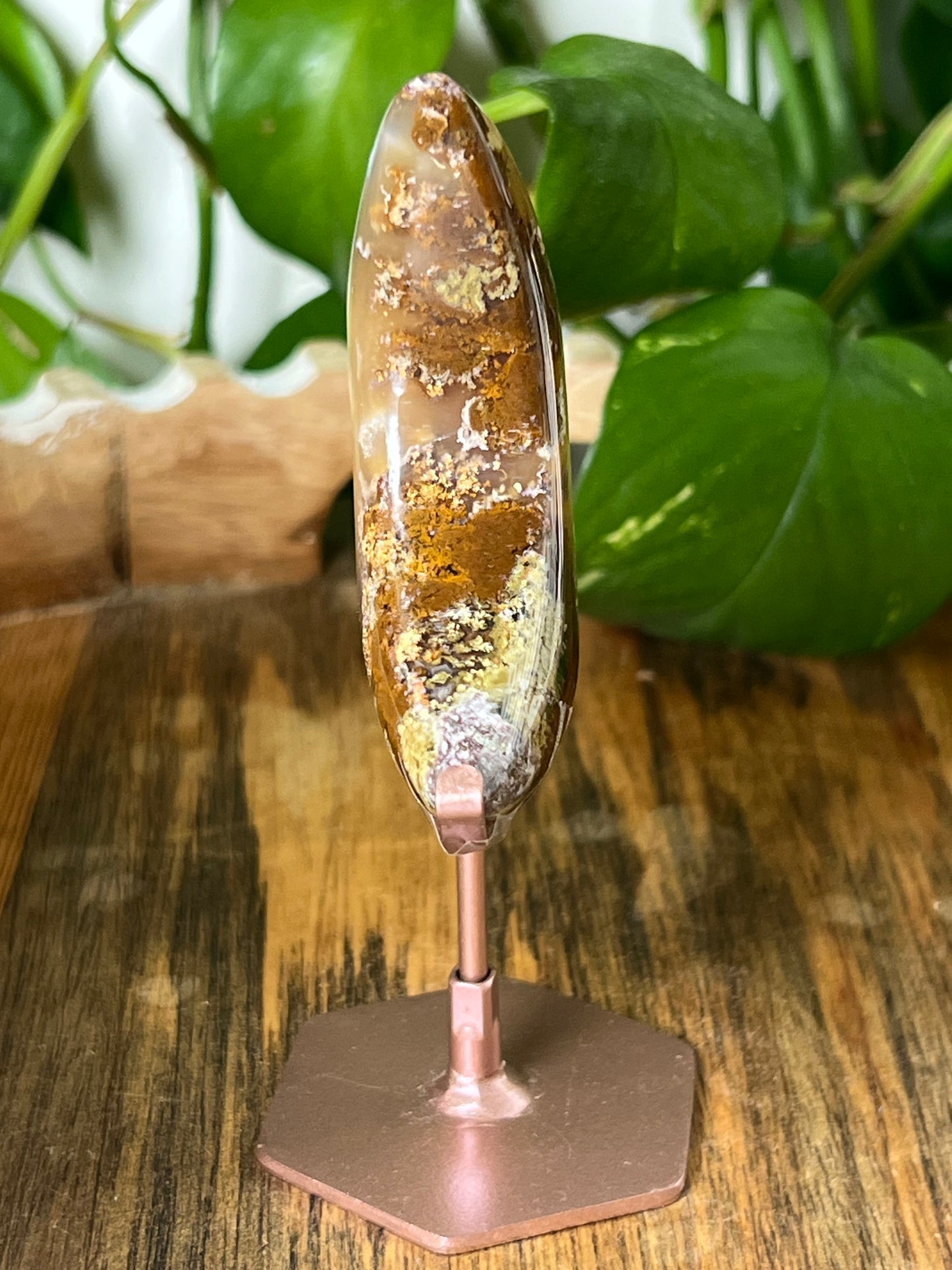 Scenic Moss Agate Moon