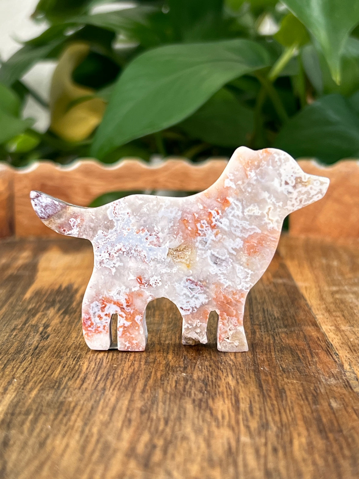 Sumatra Plume Agate Dogs