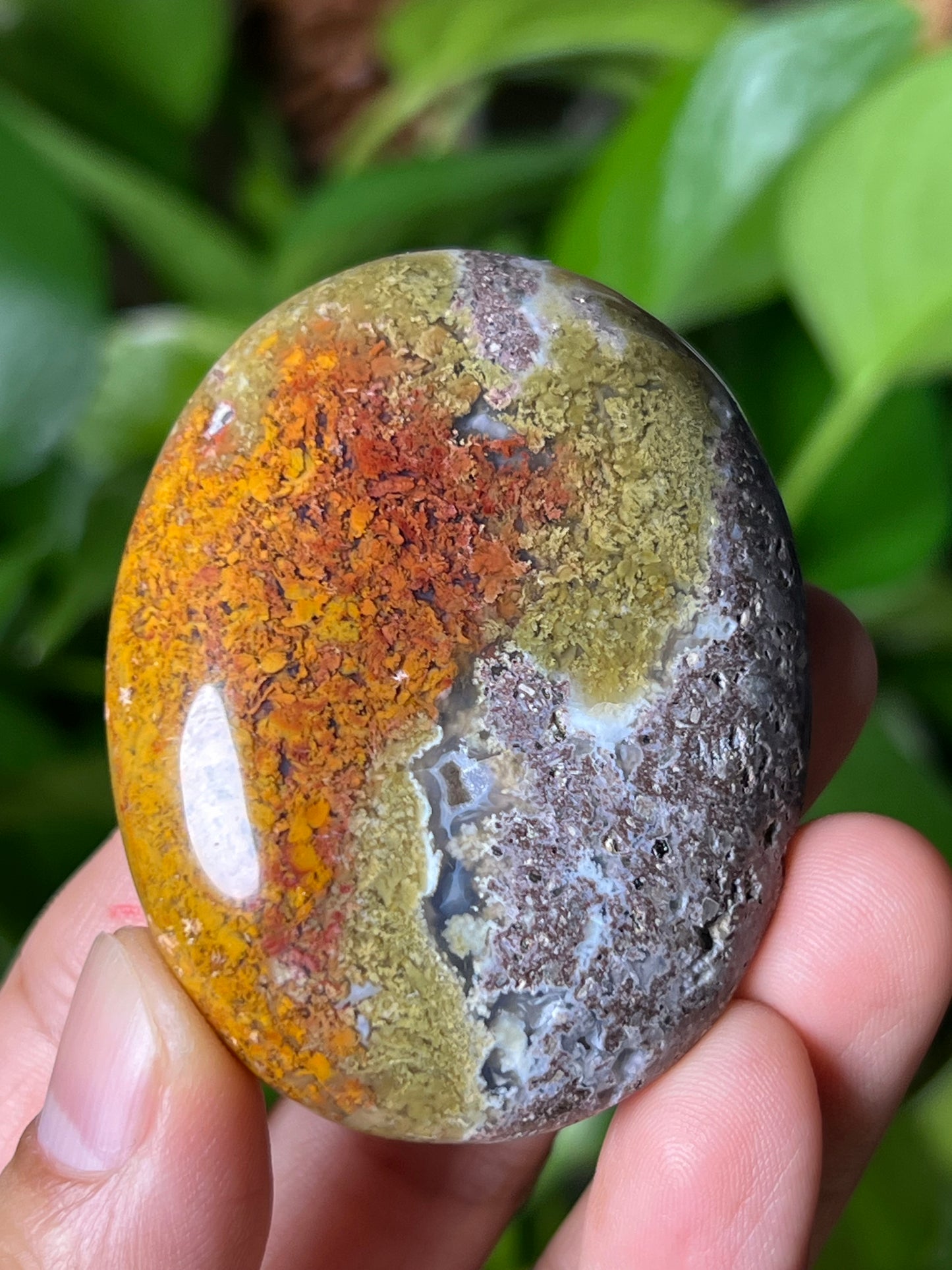 Scenic Moss Agate Palmstone