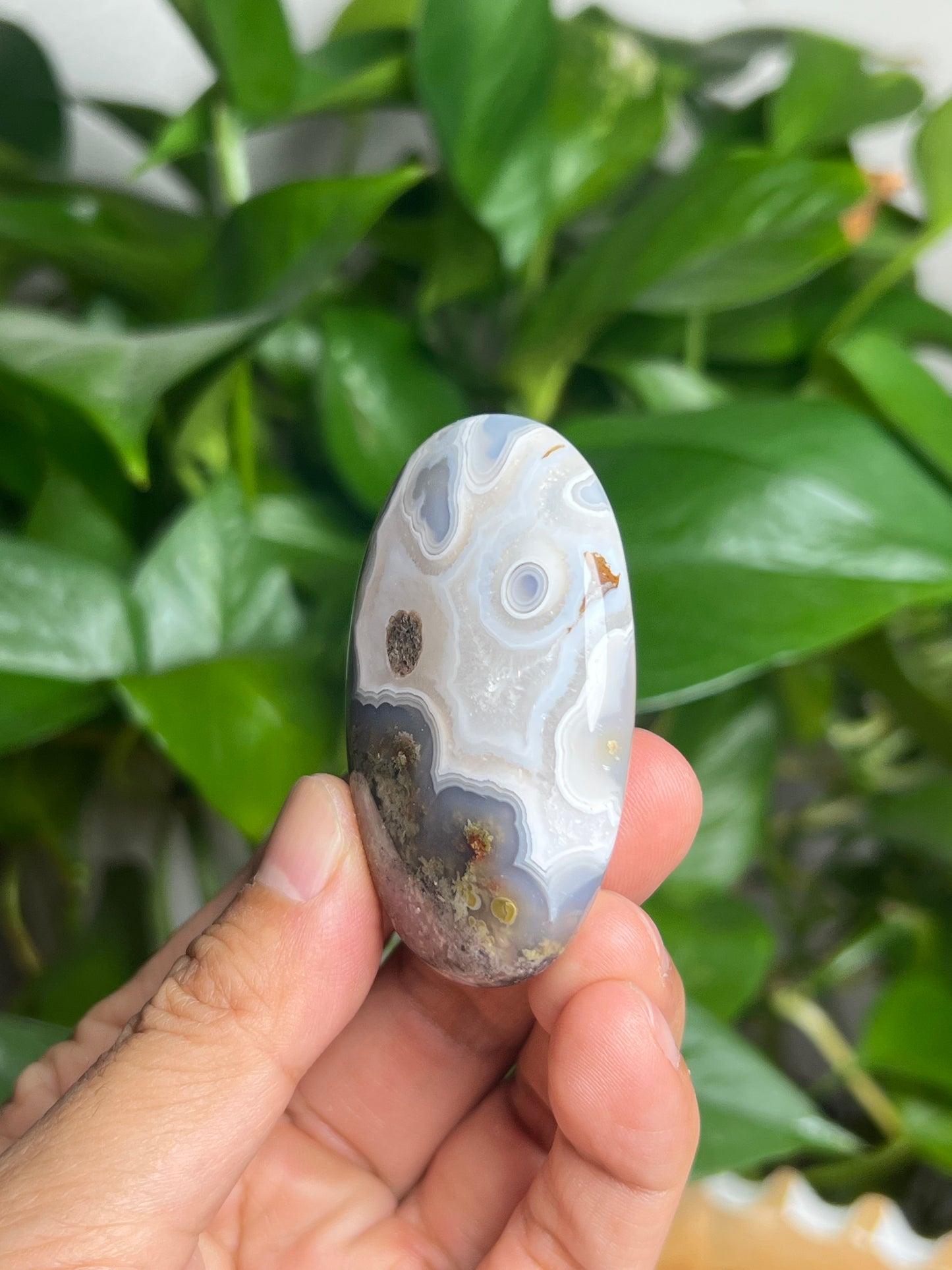 Scenic Moss Agate Palmstone: Qi