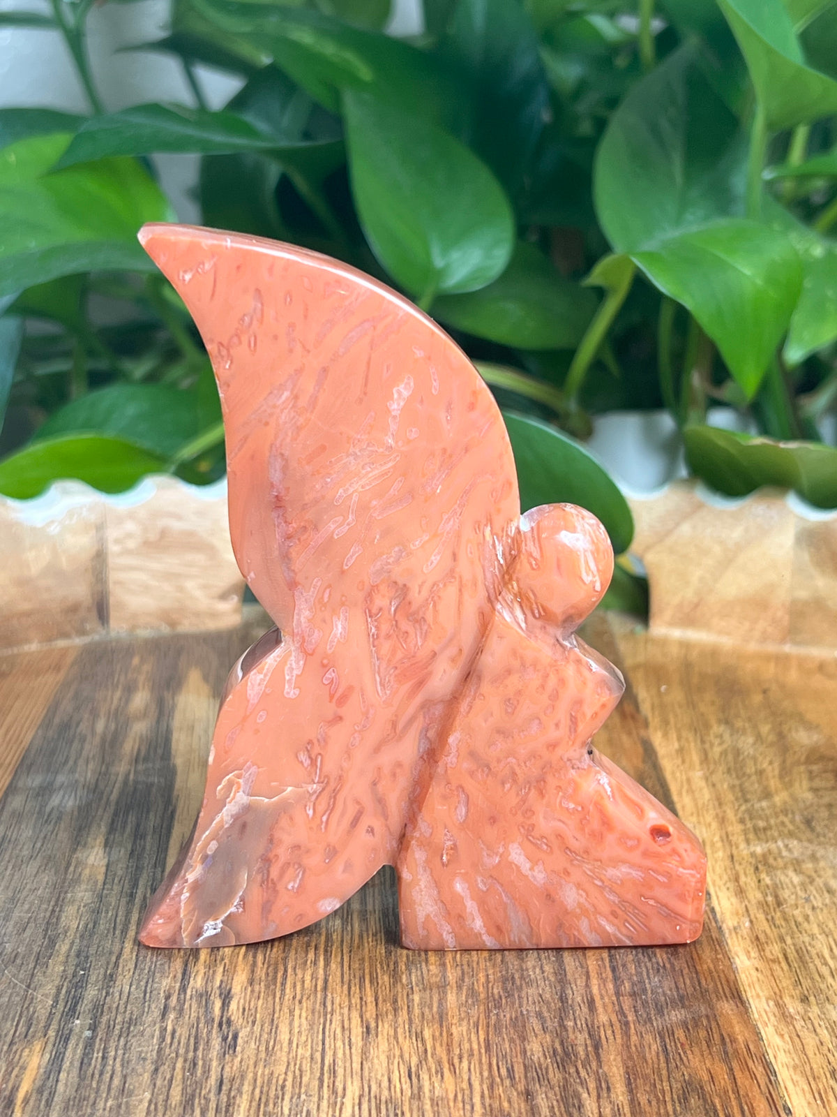 Carnelian Fairy: K