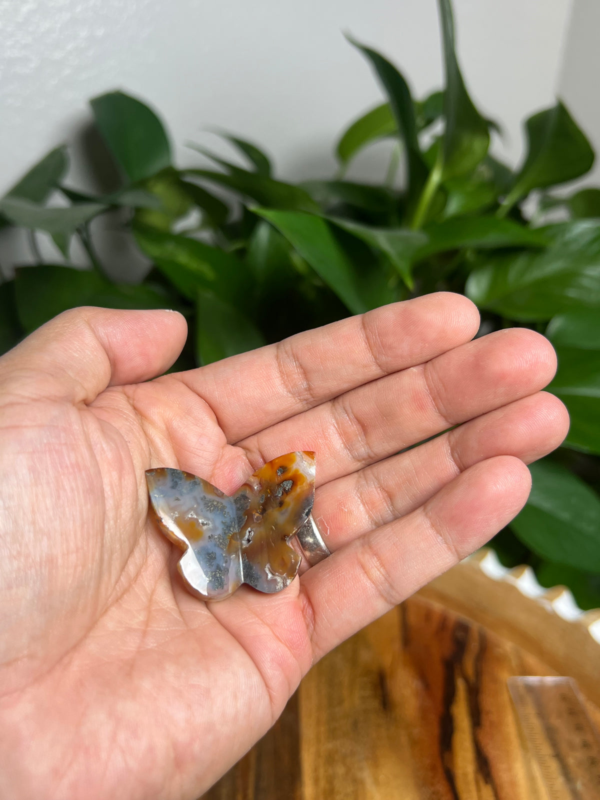 Marcasite Mini 3D Butterfly: DP