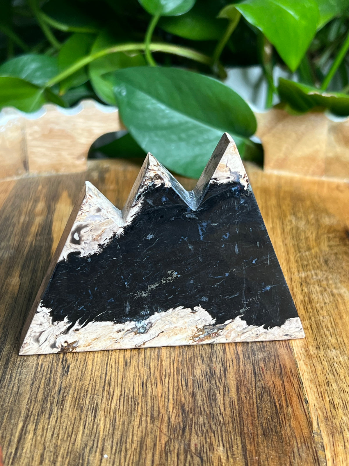 Palm Root Mountain: BH