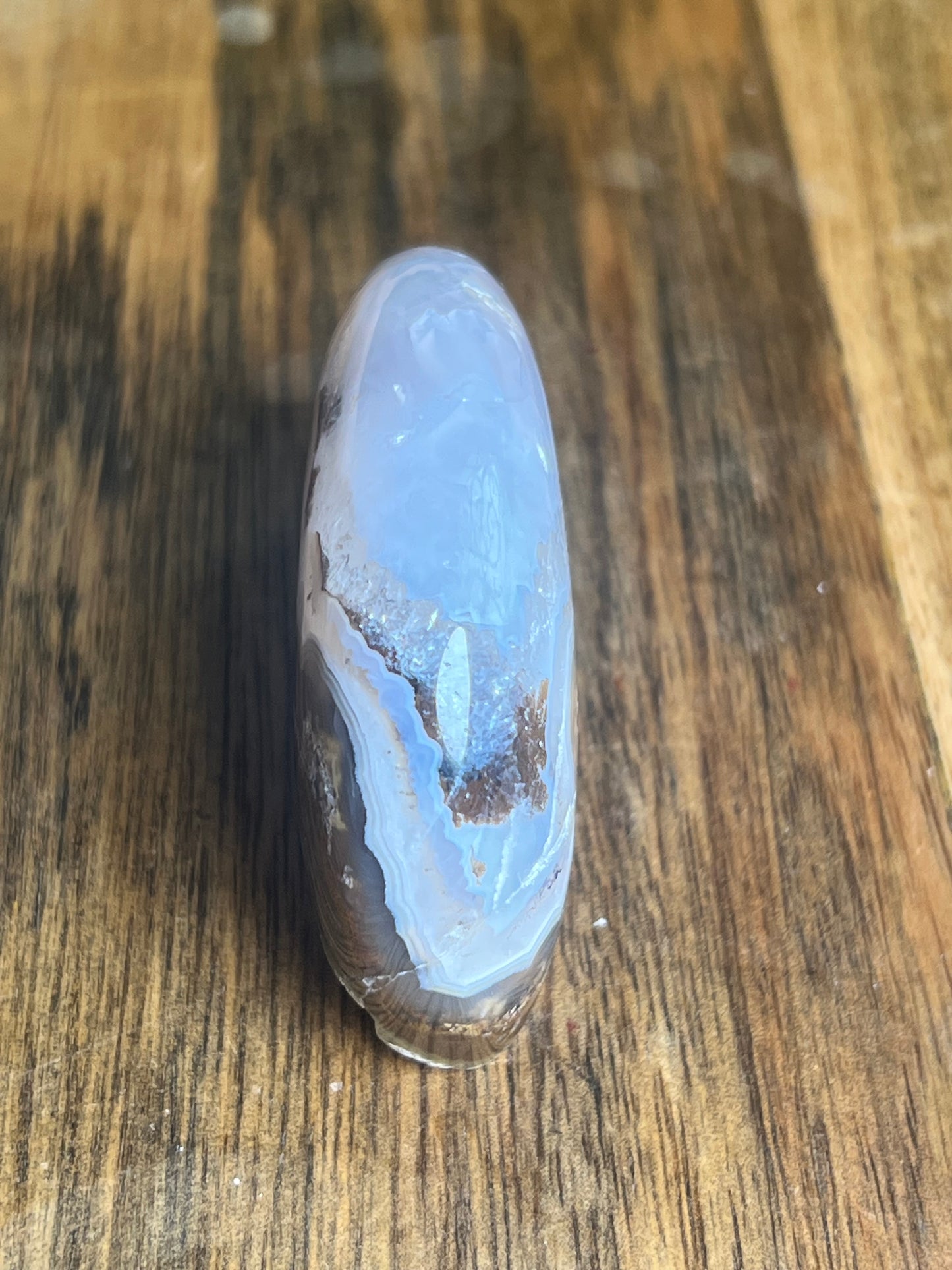 Scenic Moss Agate Bear BG