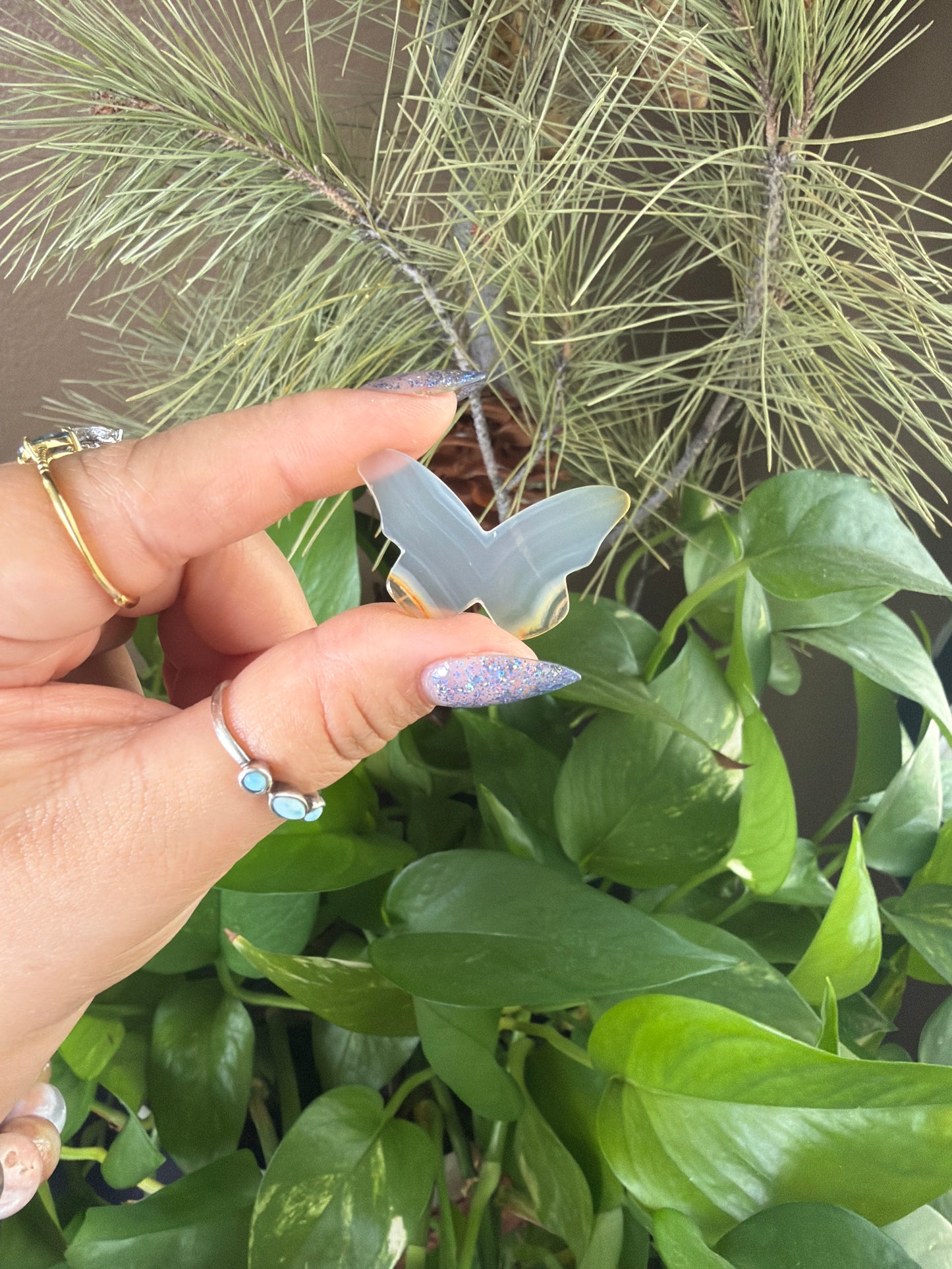 Iris Agate Butterfly Cabachon