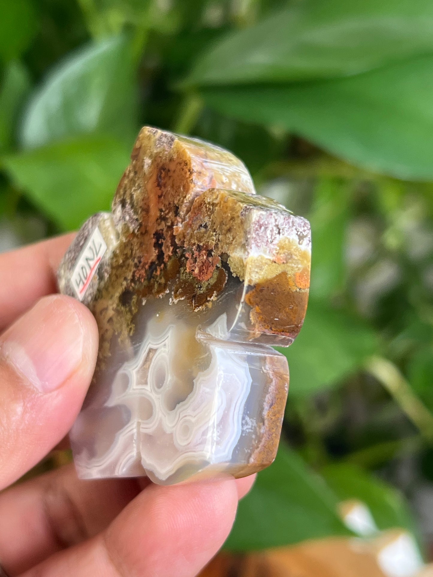 Scenic Moss Agate Flower NL