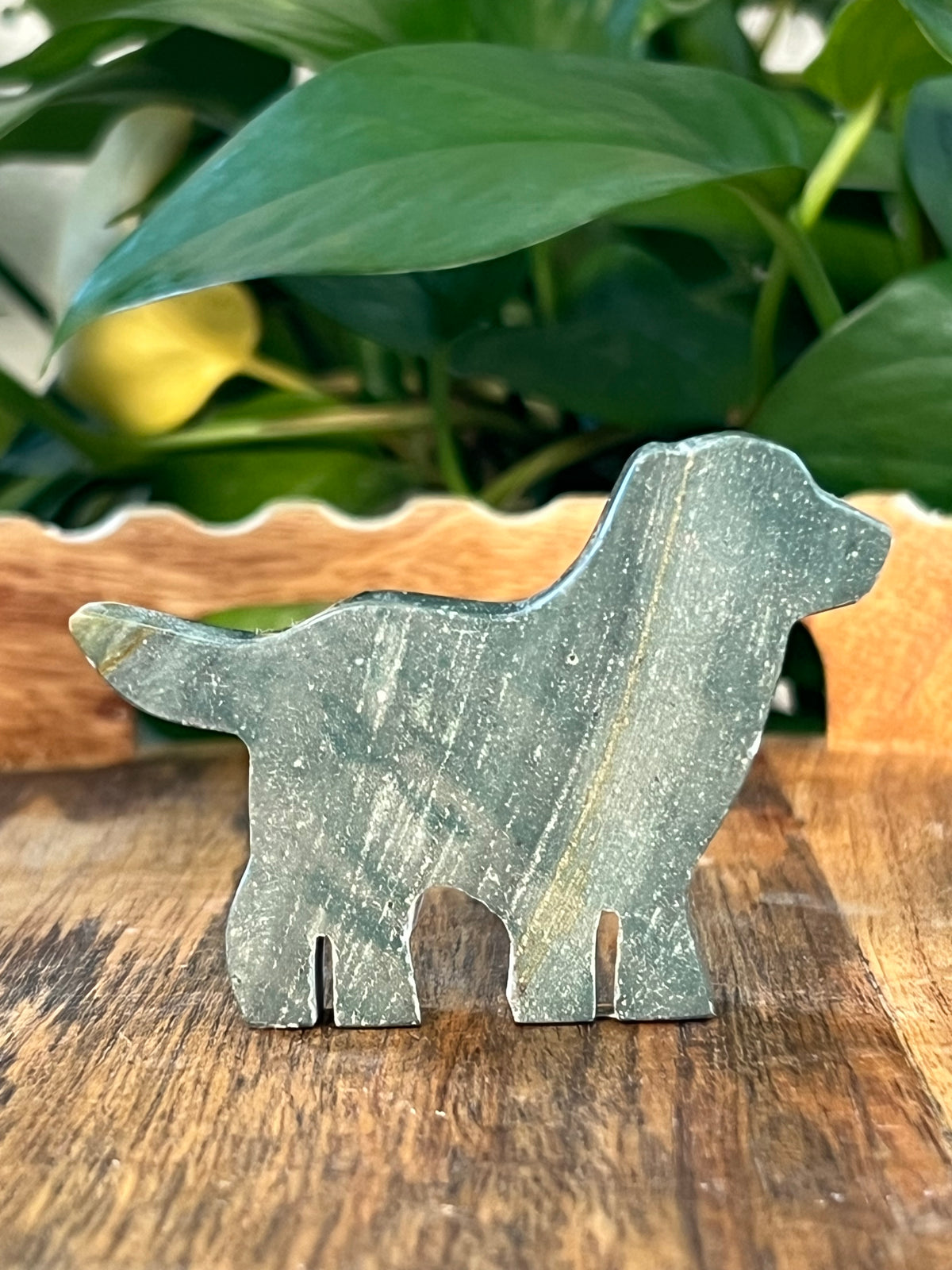 Blue Green Jasper Dogs