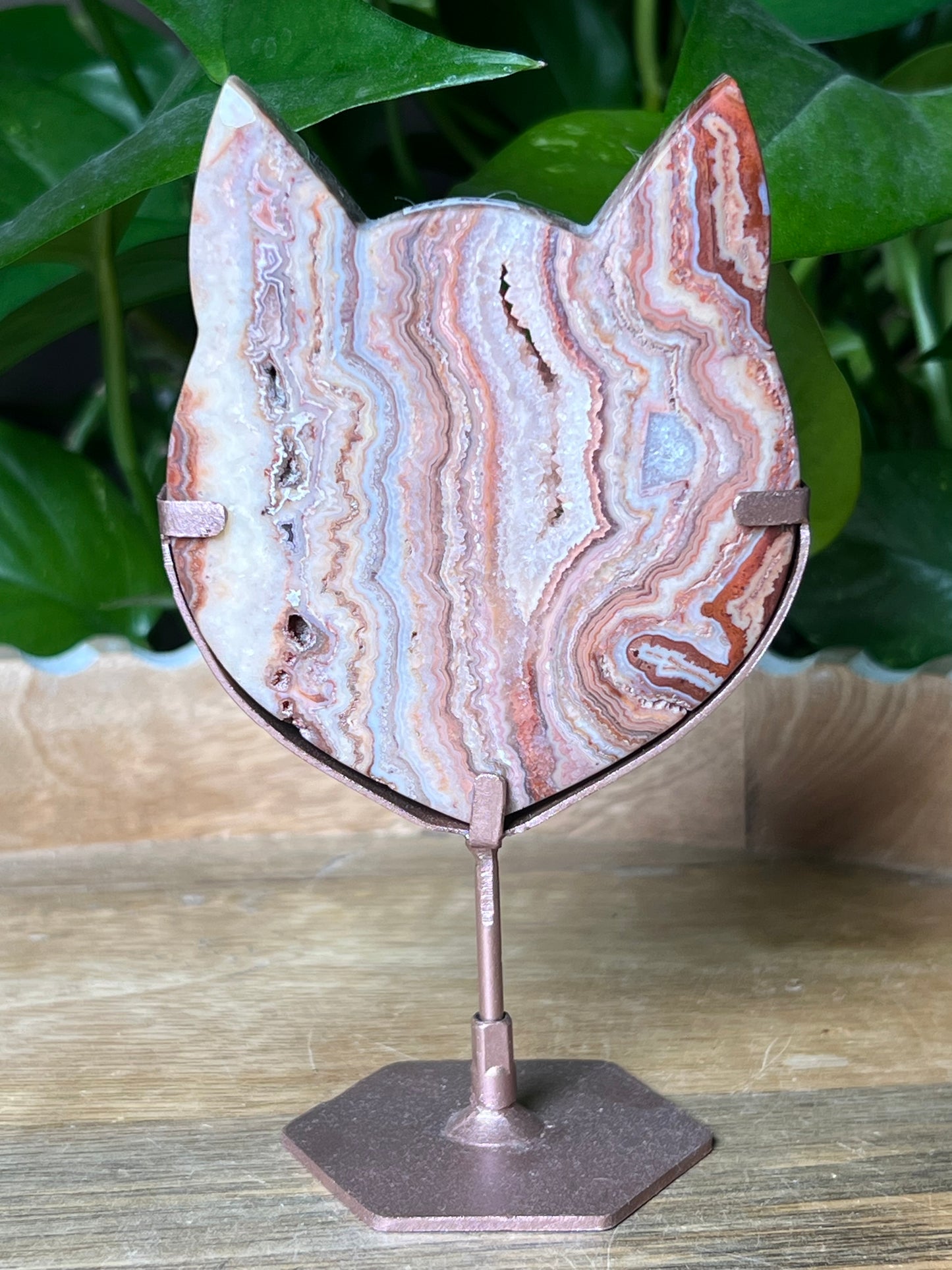Crazy Lace Agate Cat Head