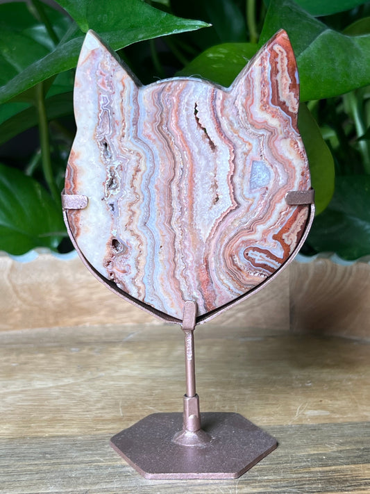 Crazy Lace Agate Cat Head