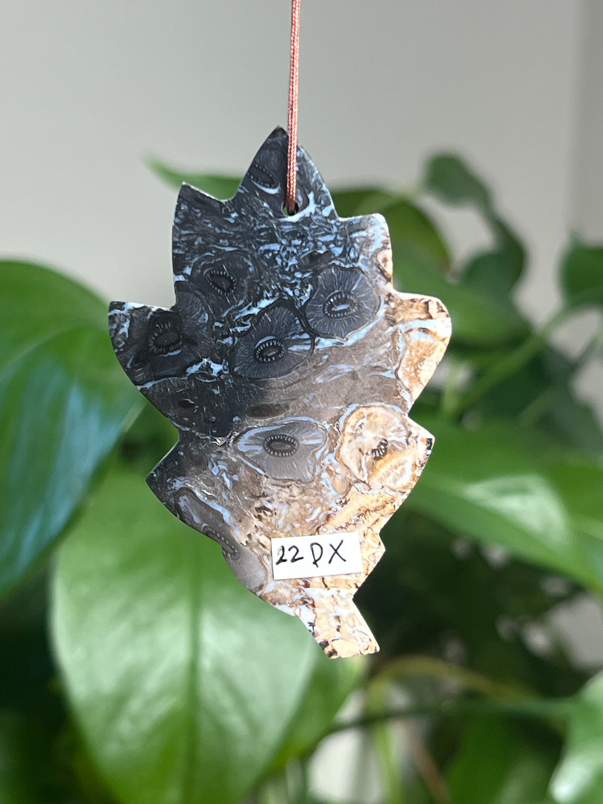 Palm Root Leaf Ornaments