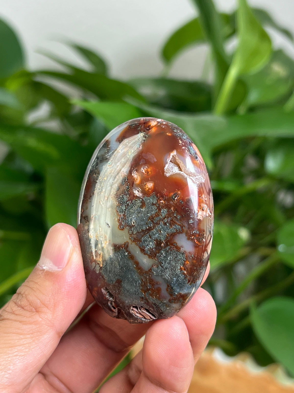 Marcasite Palmstone: BC