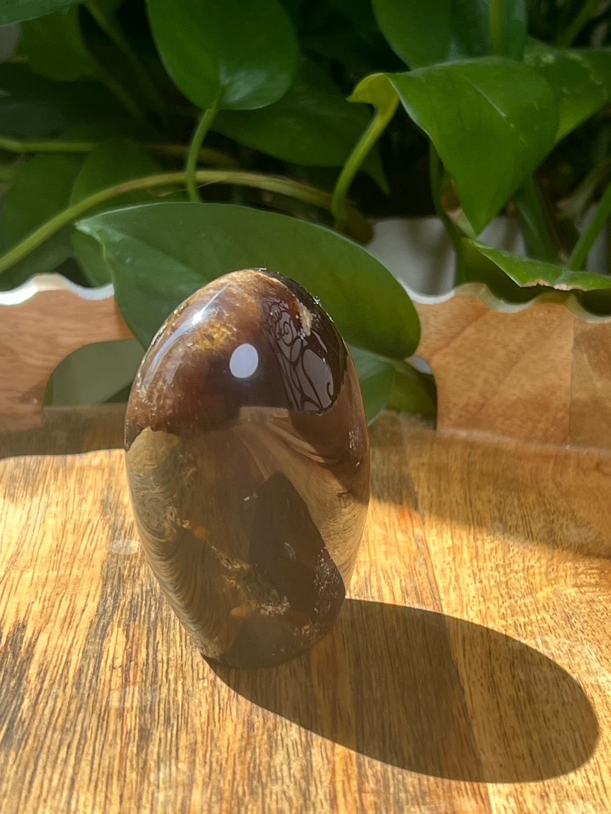 Blue Amber Freeform: N