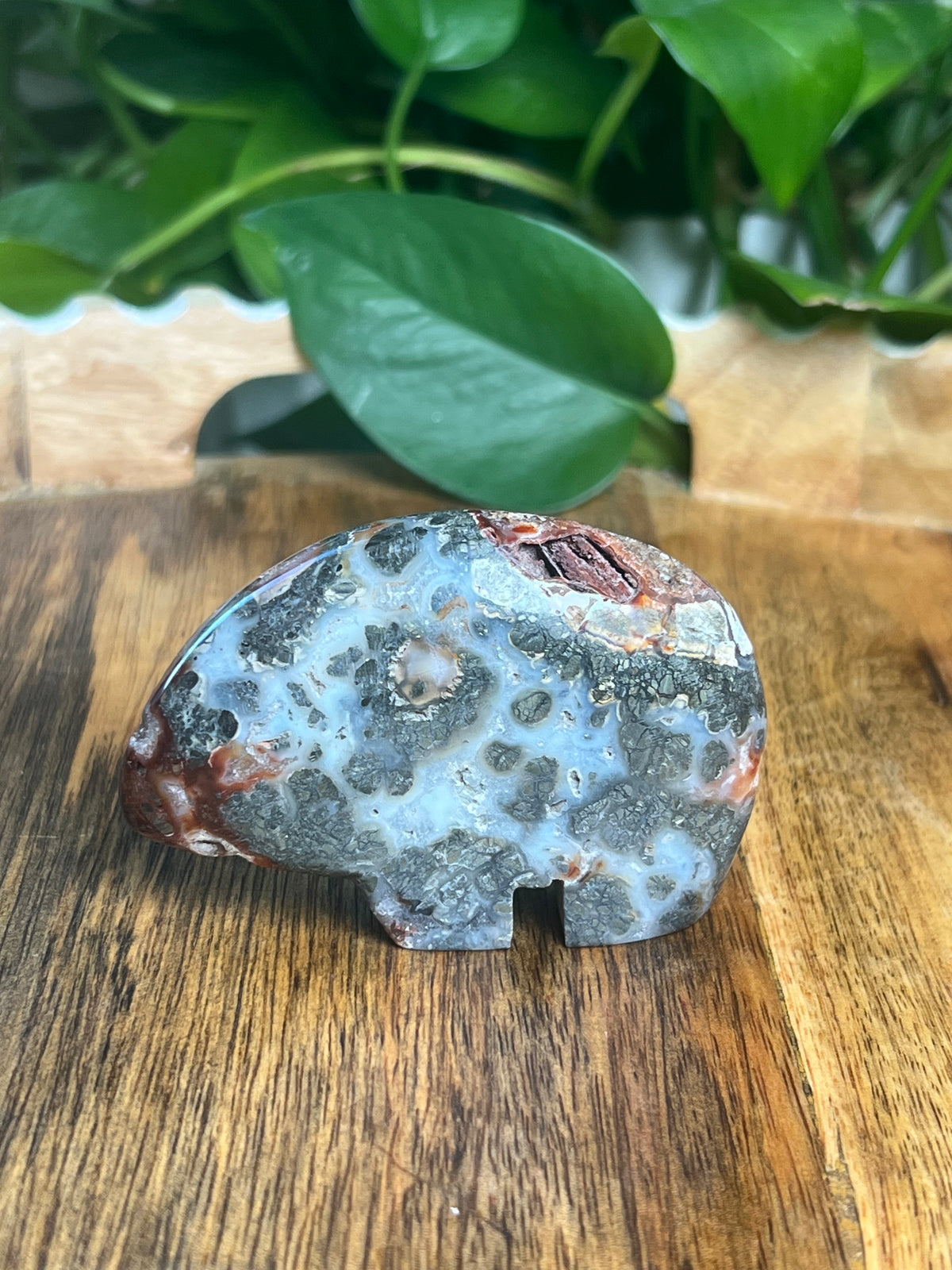 Marcasite Bear: TX