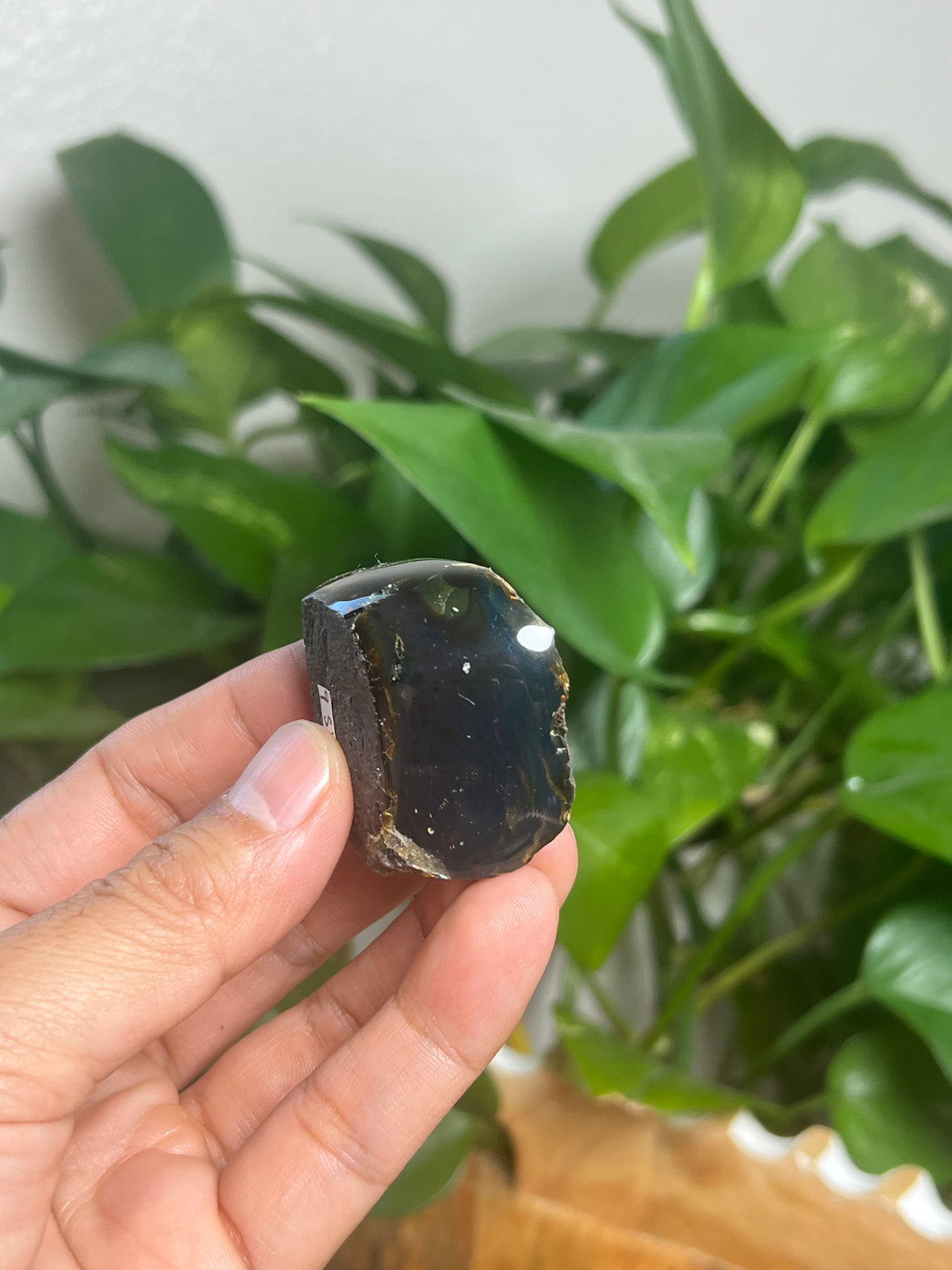 Blue Amber Freeform: SV