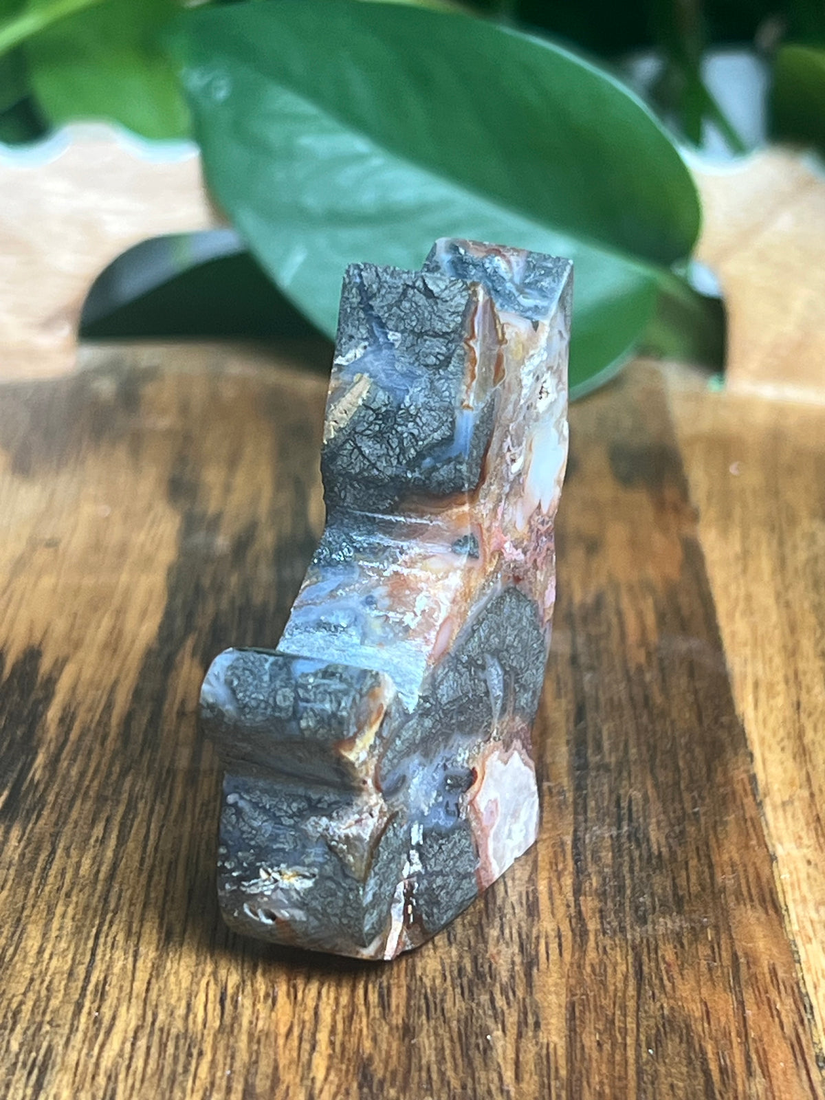 Marcasite Mini Cat: XC