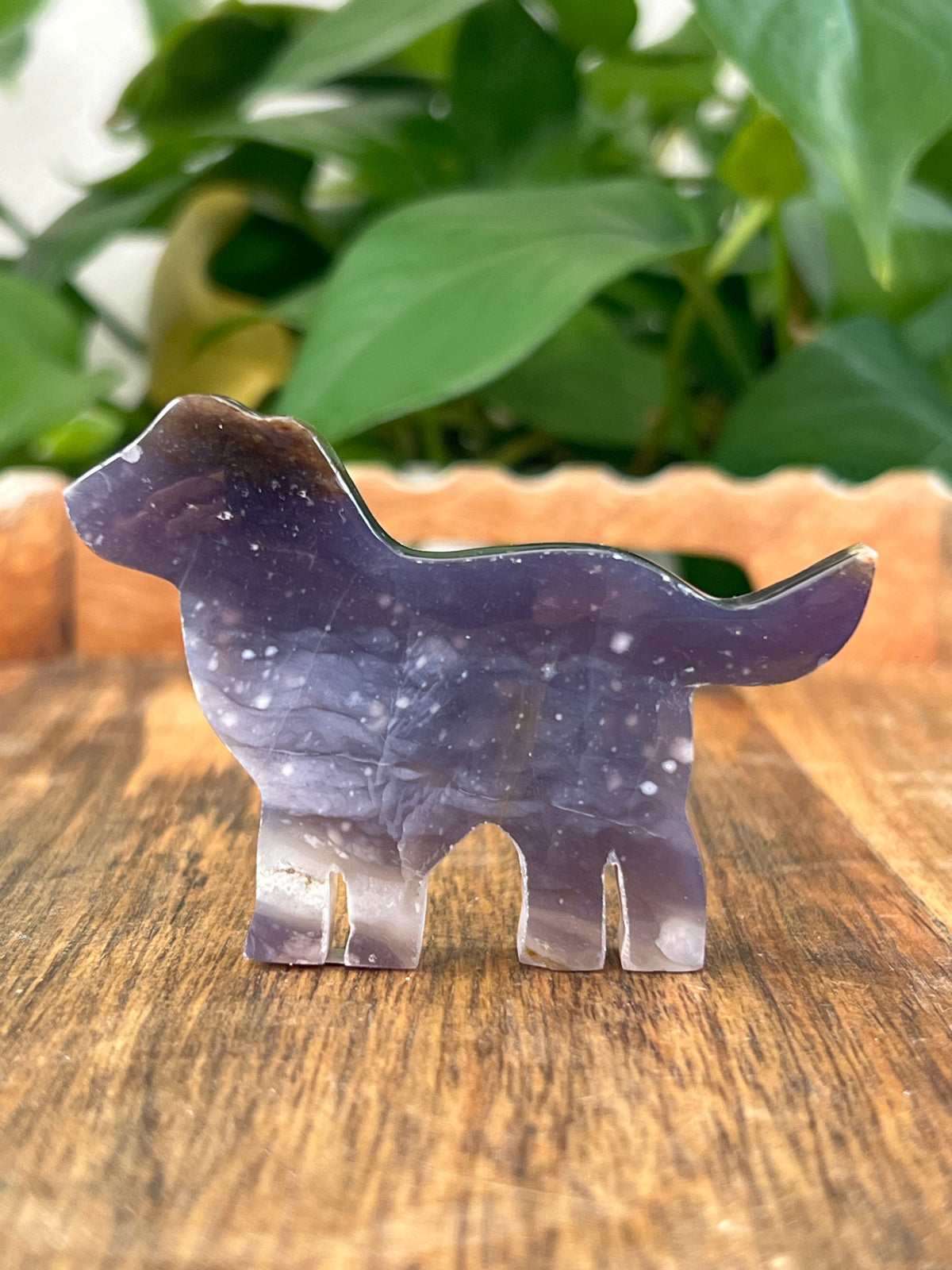 Purple Chalcedony Dogs