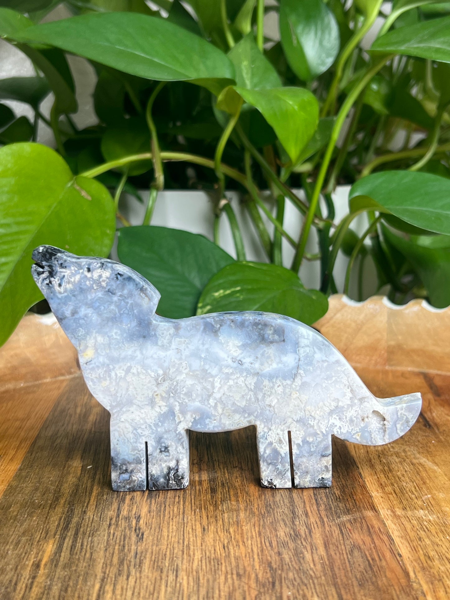 Blue Plume Agate Wolf: Q