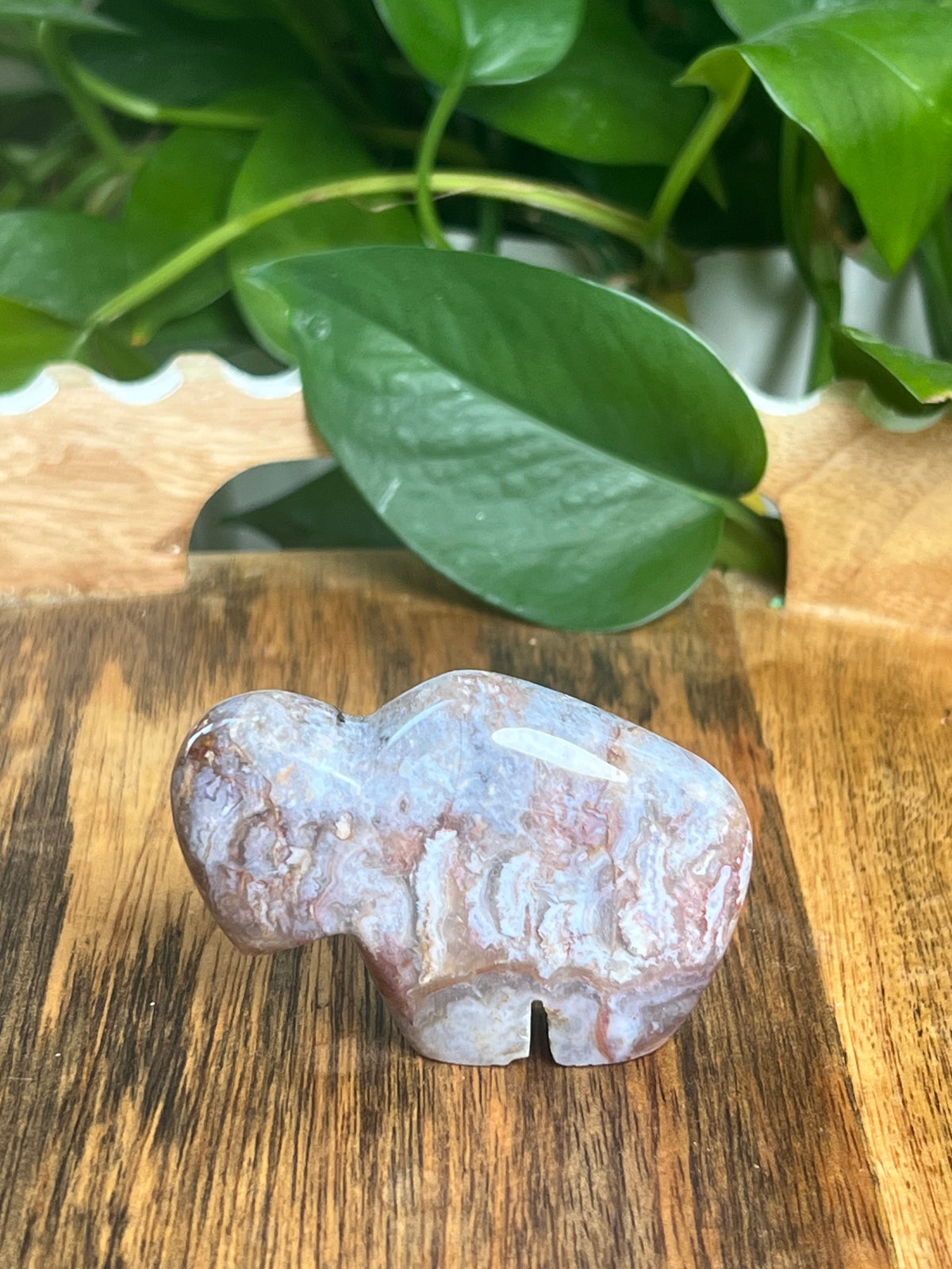 Sumatra Plume Agate Mini Buffalo: DC