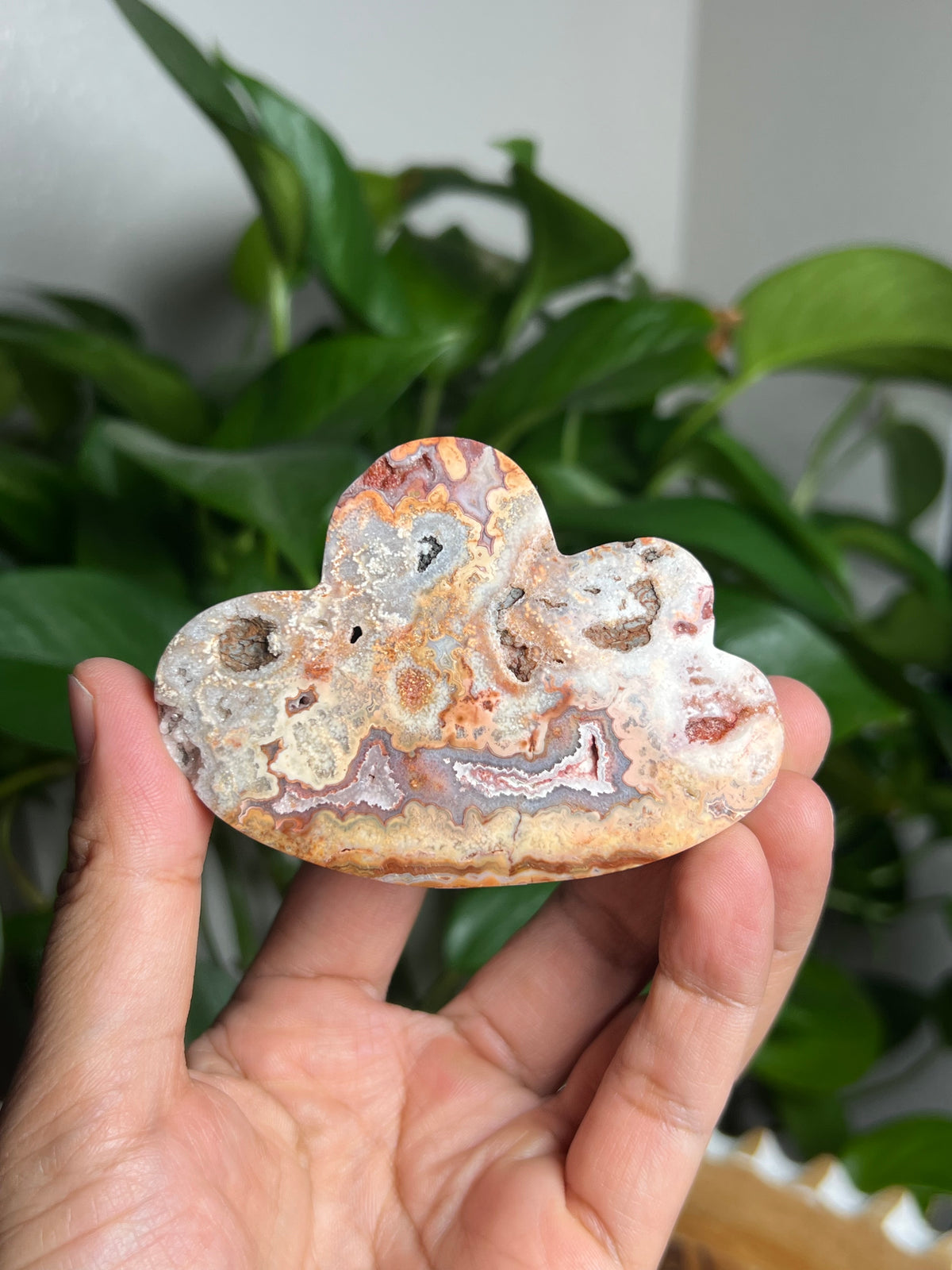 Crazy Lace Agate Cloud: NS
