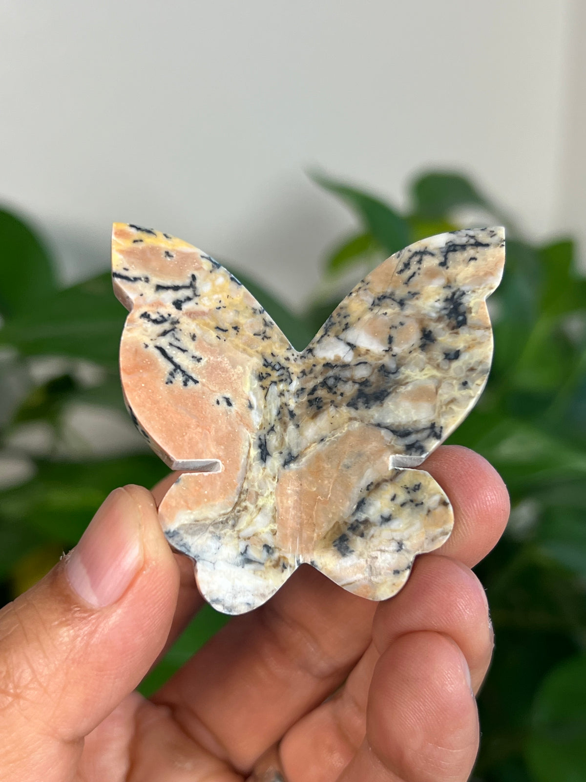 Peachy Pink Dendritic Jasper 3D Butterflies