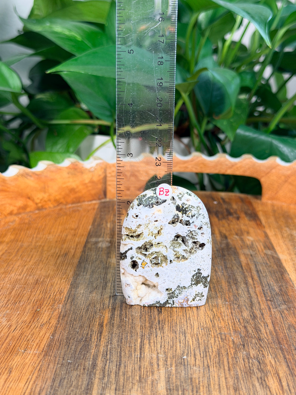 Sea Jasper Mini Freeforms