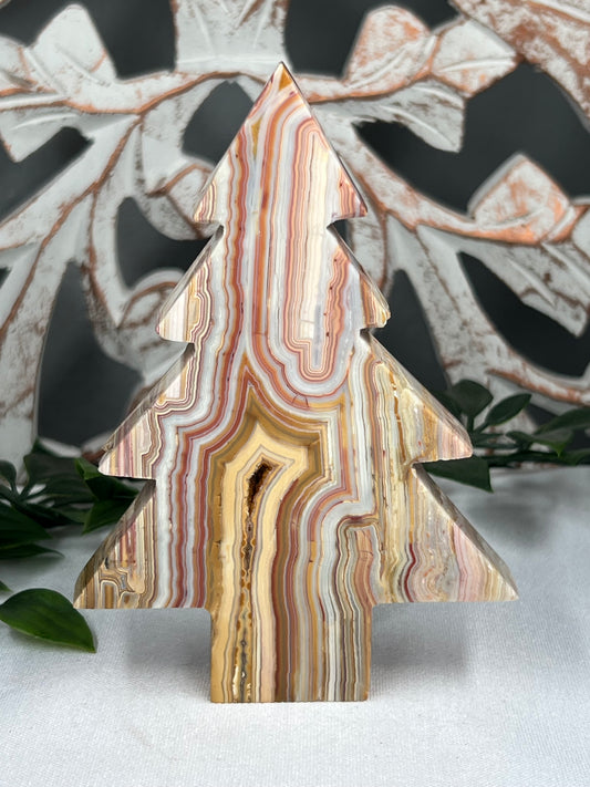 Crazy Lace Agate Tree