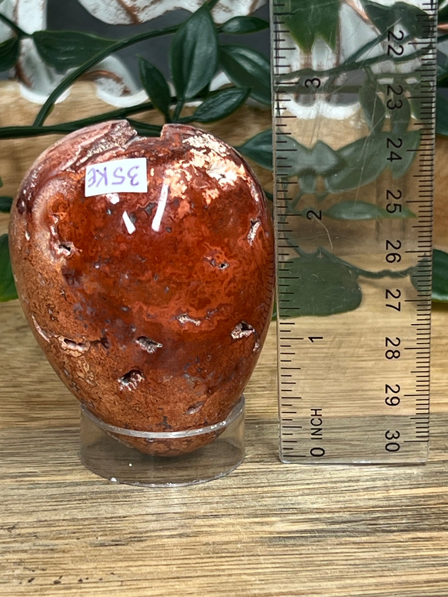 Crazy Lace Agate Egg