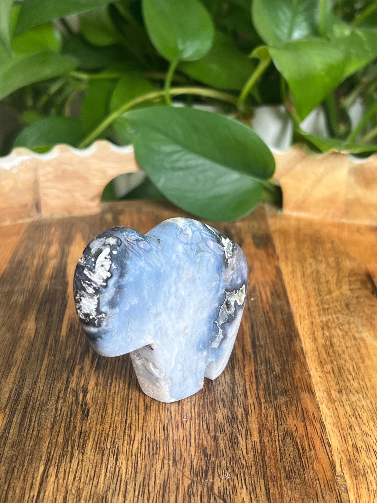 Blue Plume Agate Buffalo: BK