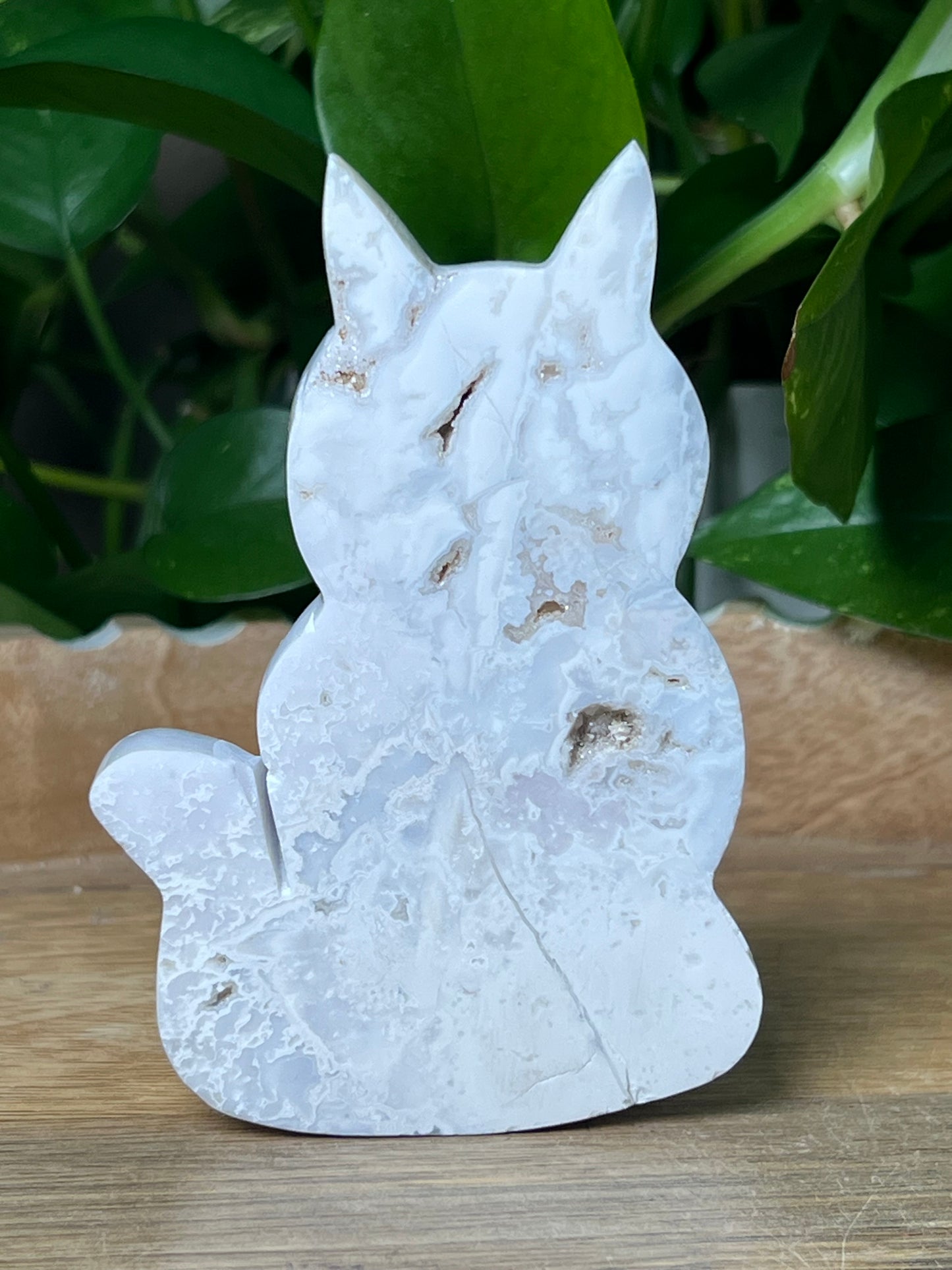 White Plume Agate Cat