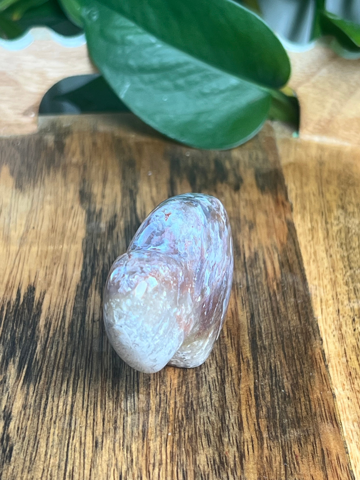 Sumatra Plume Agate Mini Buffalo: DF
