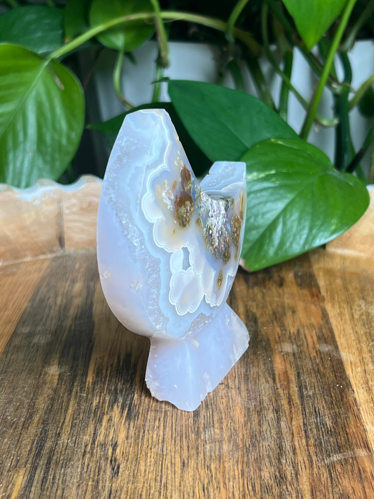 Scenic Moss Agate Self-Standing Moon: PQ