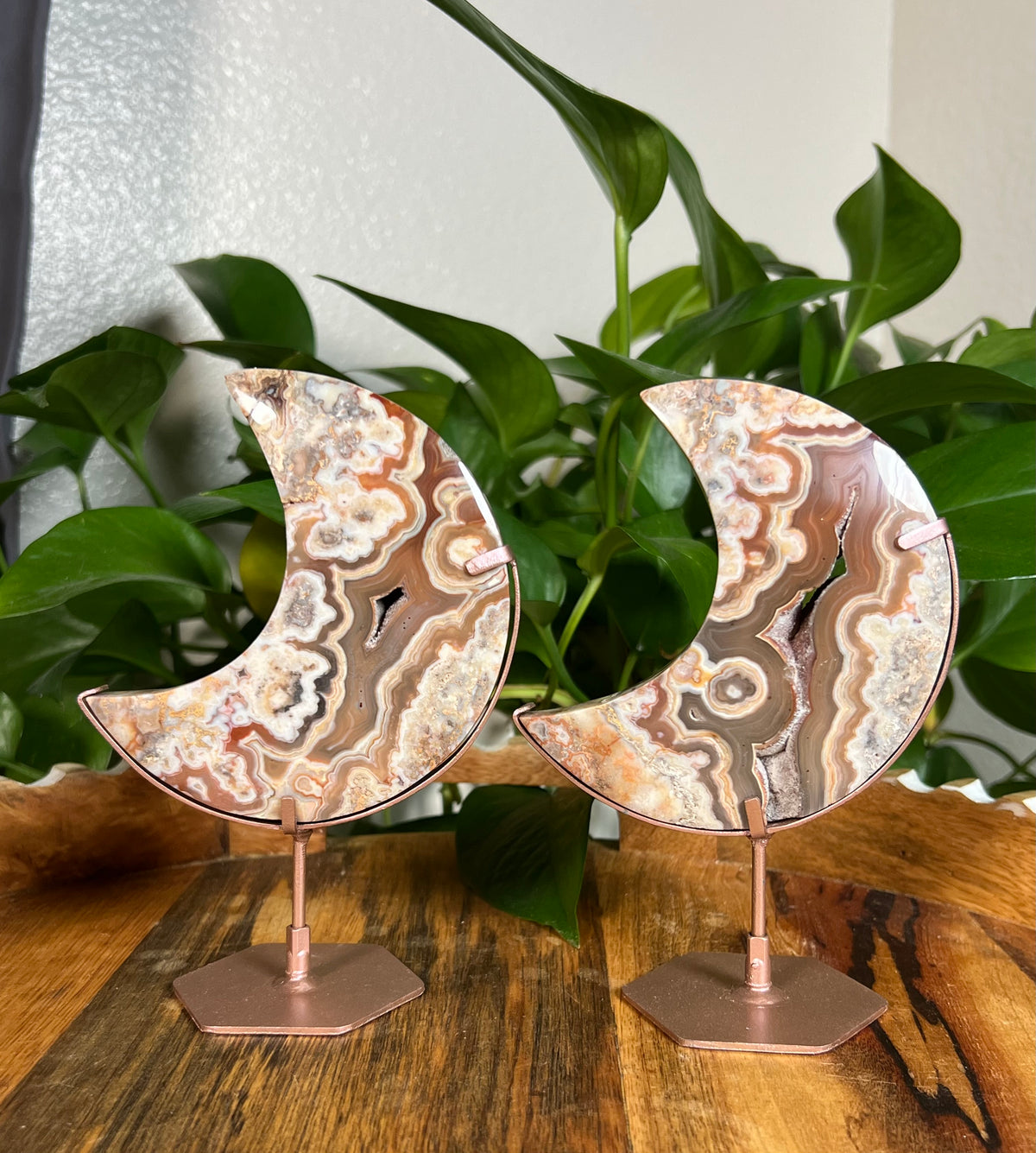 Crazy Lace Agate Moons
