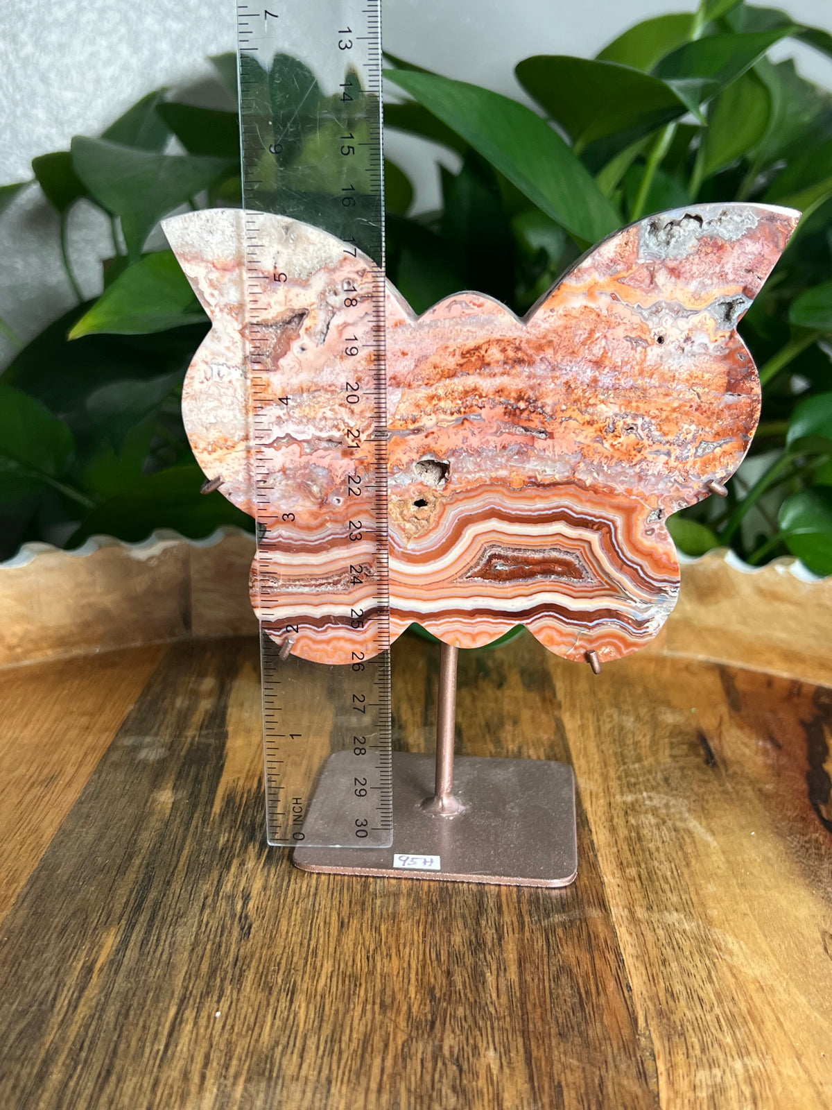 Crazy Lace Agate Butterfly: H