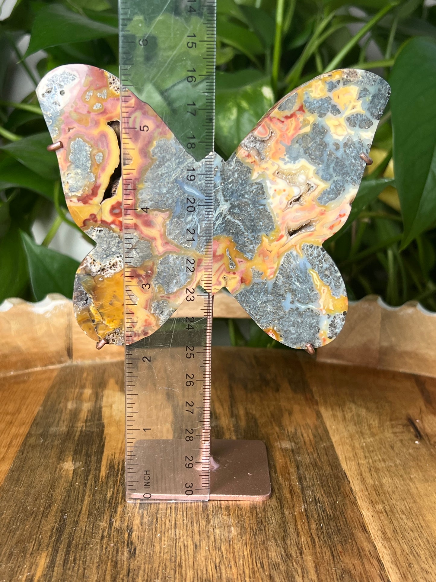 Marcasite Butterfly