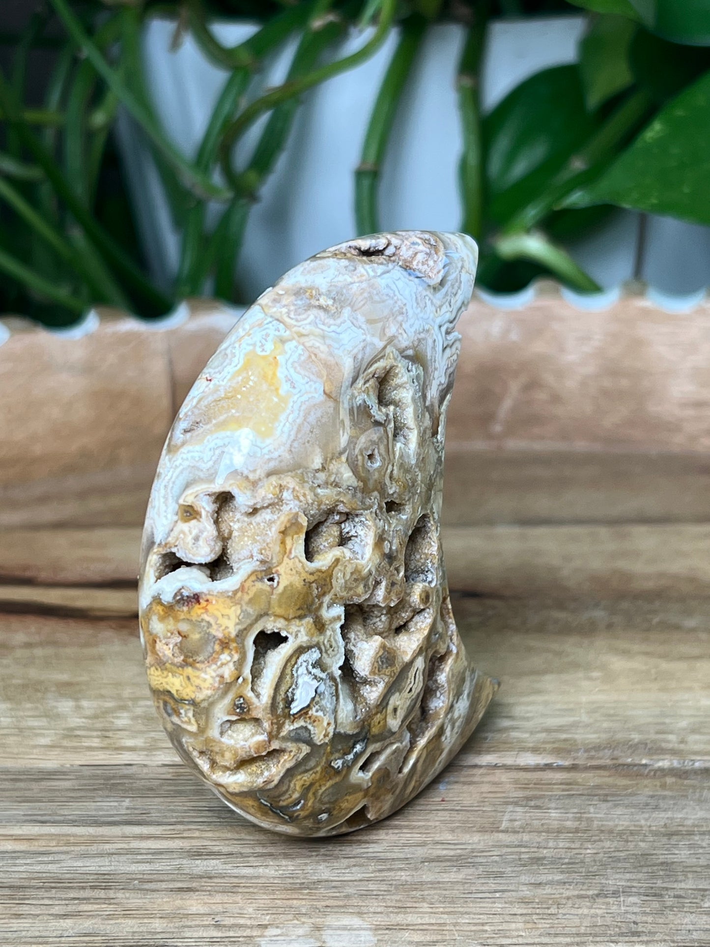 Crazy Lace Agate Moon