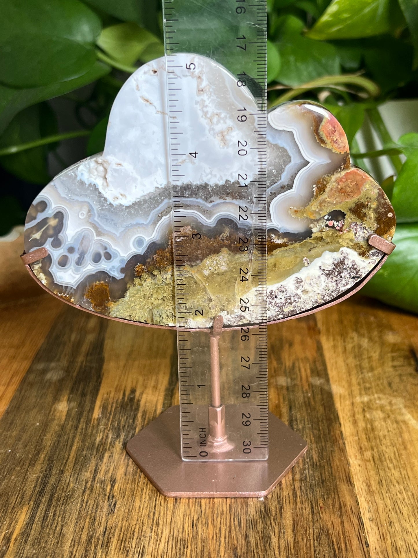 Scenic Moss Agate Cloud