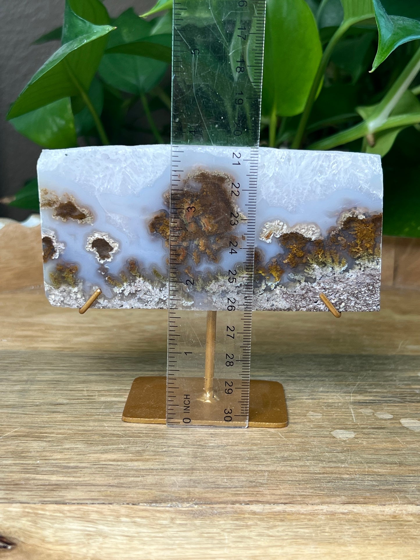 Scenic Moss Agate Slab