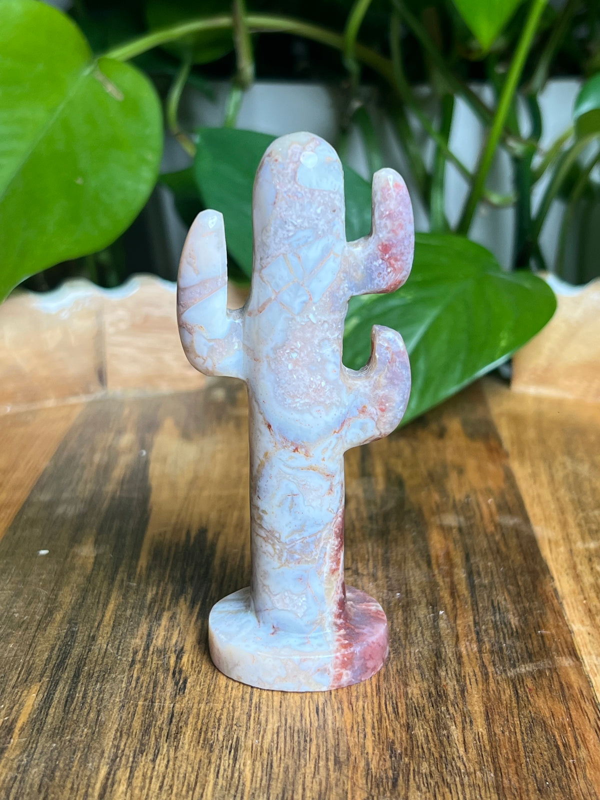 Sumatra Plume Agate Cactus: P