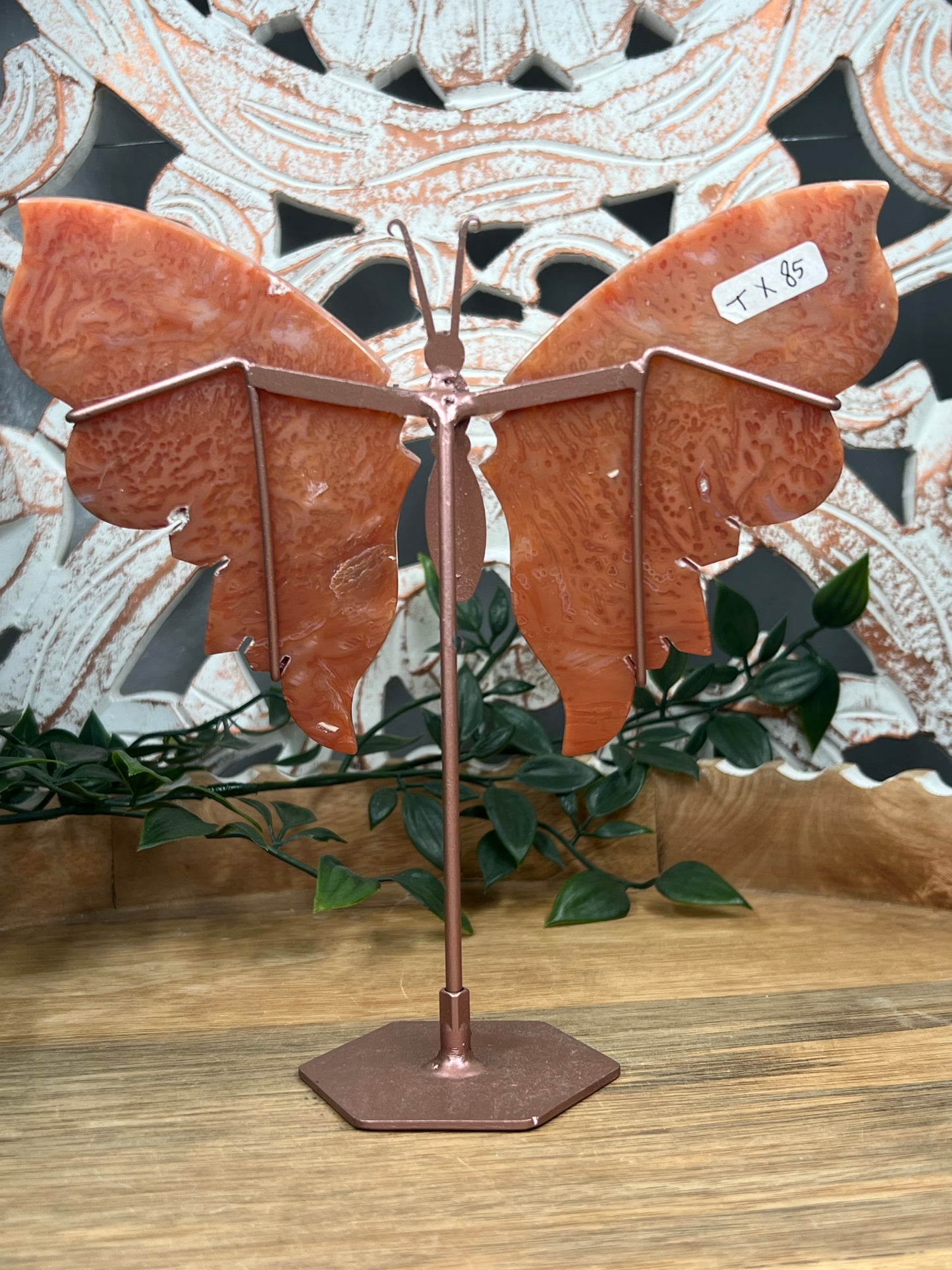 Carnelian Wings
