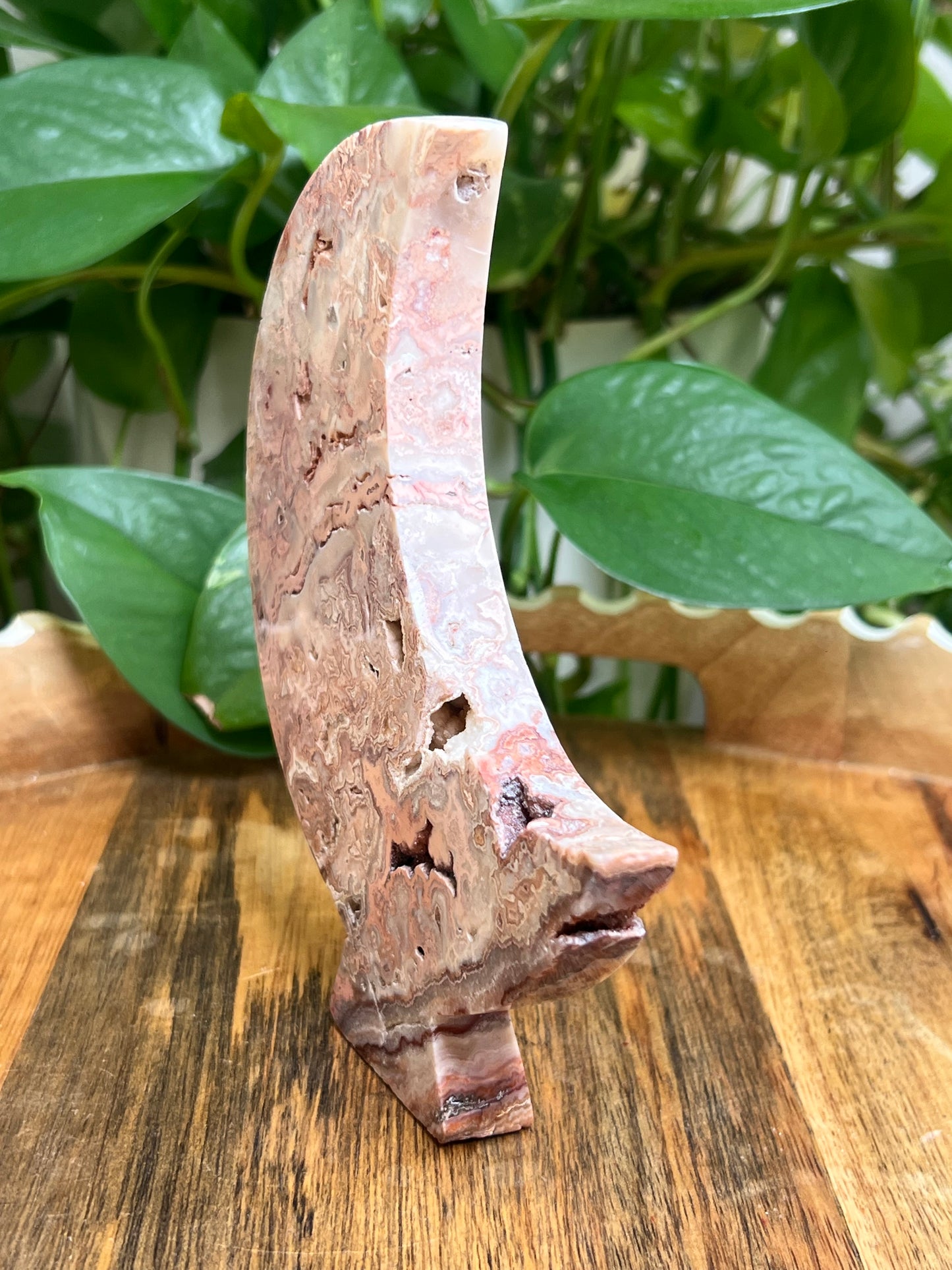 Crazy Lace Agate Moon: LK