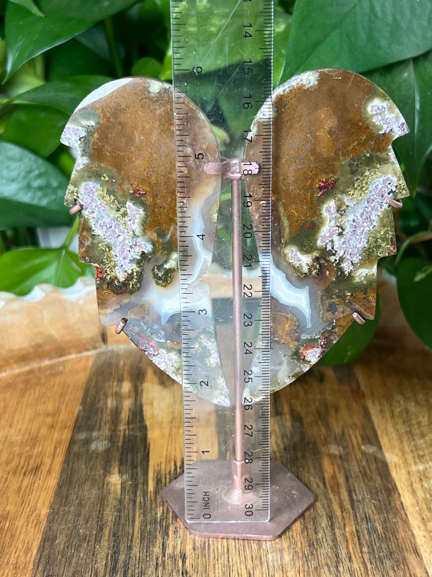 Scenic Moss Agate Wings