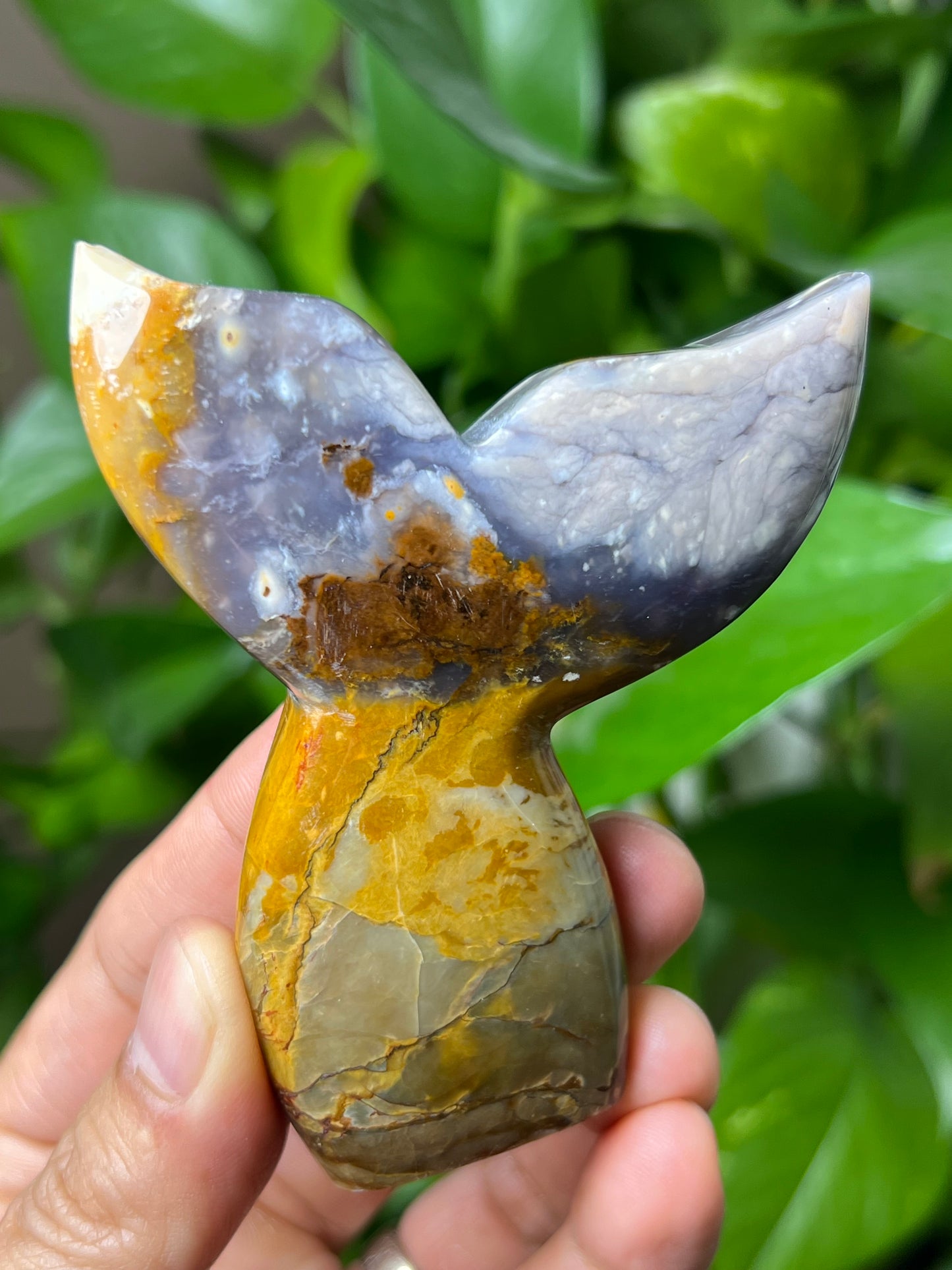 Purple Chalcedony Tail