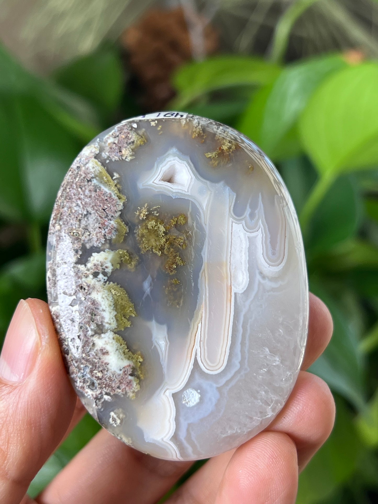 Scenic Moss Agate Palmstone