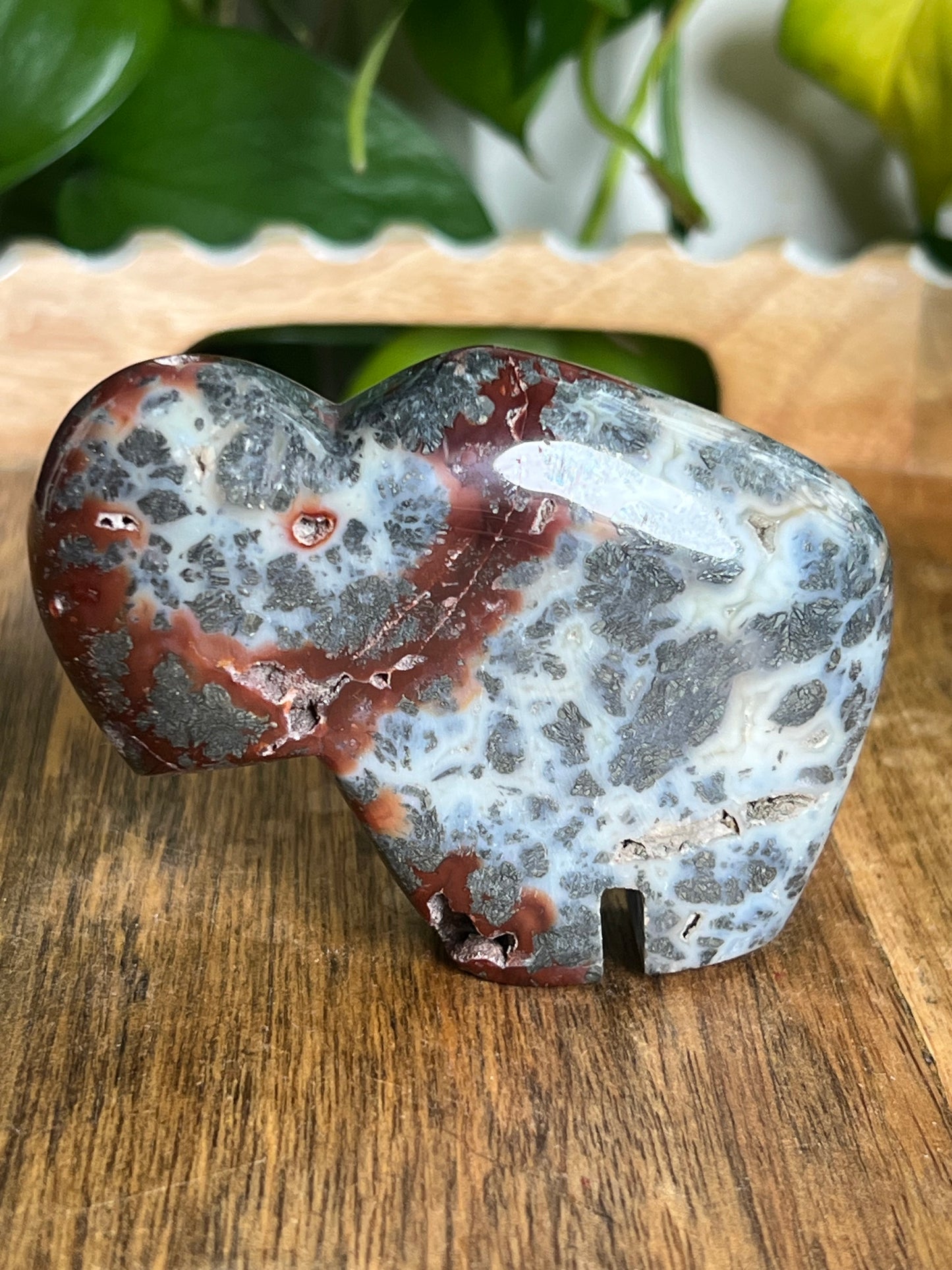 Marcasite Buffalo