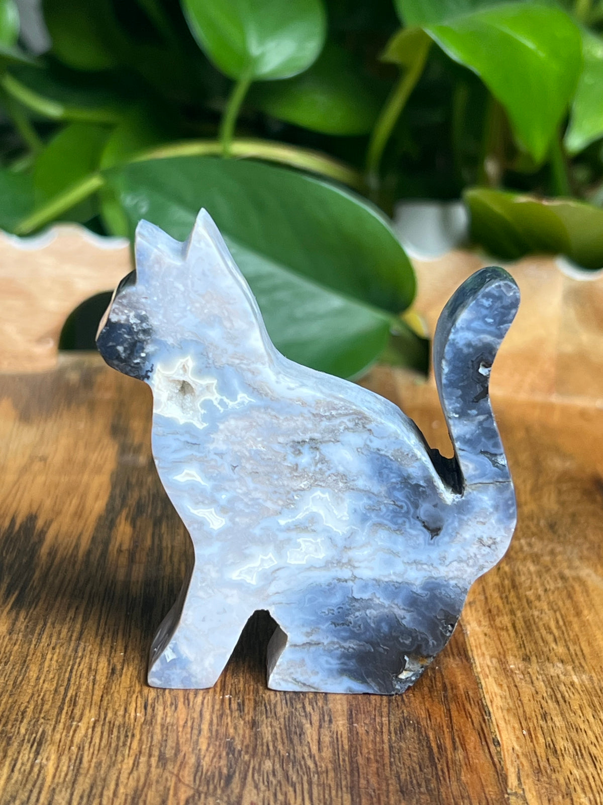 Blue Plume Agate Cat: LD