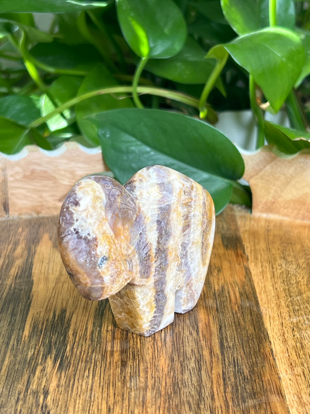 Indonesian Amethyst Buffalo: SA