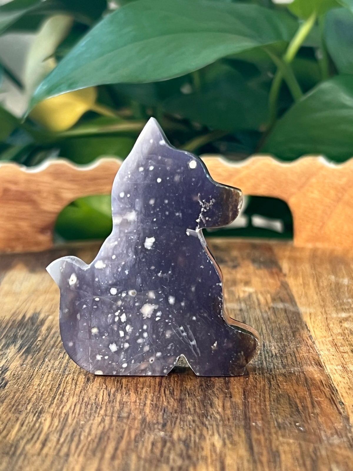 Purple Chalcedony Dogs